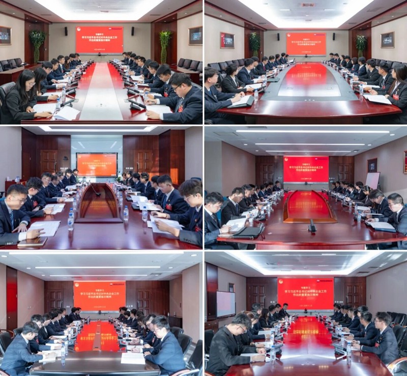 1772164756497 共青团辉达娱乐工程有限公司第四次代表大会胜利召开5