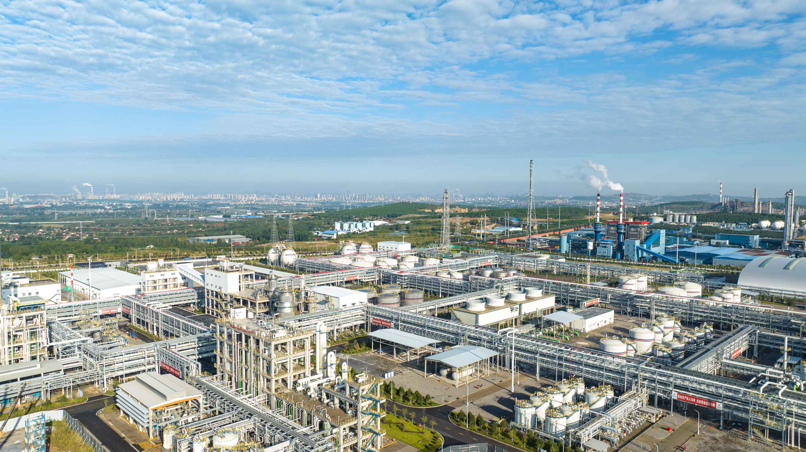 辉达娱乐齐翔新材料有限公司尼龙新材料项目（山东）