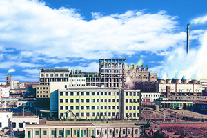 大型纯碱工程化技术