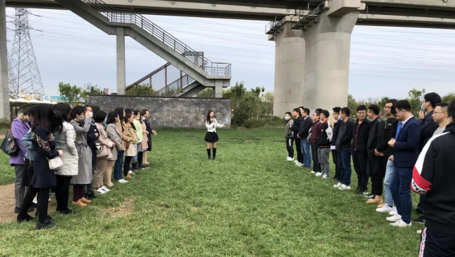 “我为群众办实事”系列报道(32)｜群众利益无小事 一枝一叶总关情