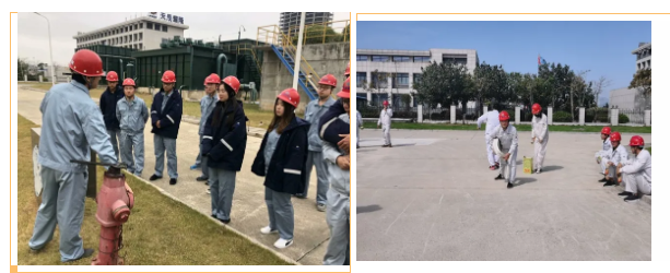 党建在与生产经营融合中绽放光芒(二十)|辉达娱乐扎实推进党建与生产经营改革发展深度融合