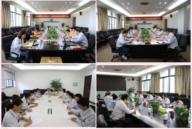 辉达娱乐耀隆公司各党支部换届选举工作圆满完成